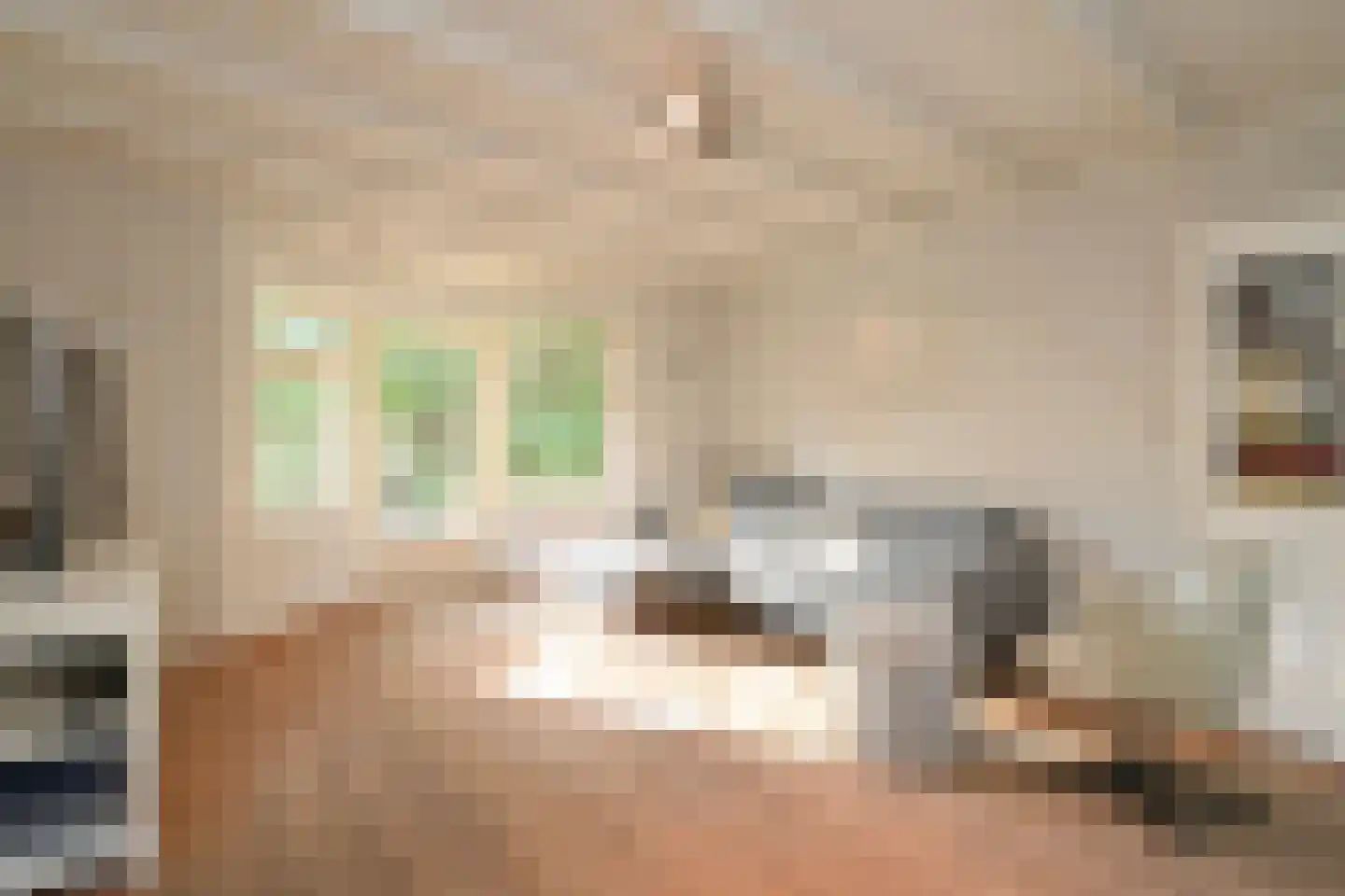 Lijsterlaan 1 Wassenaar thumbnail 18