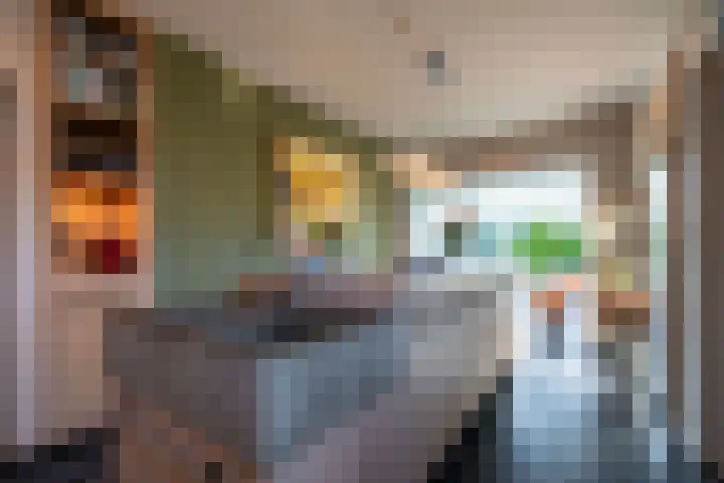 Lijsterlaan 1 Wassenaar thumbnail 19