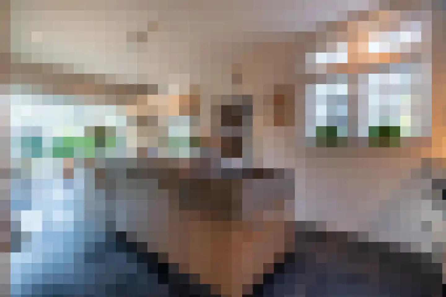 Lijsterlaan 1 Wassenaar thumbnail 21