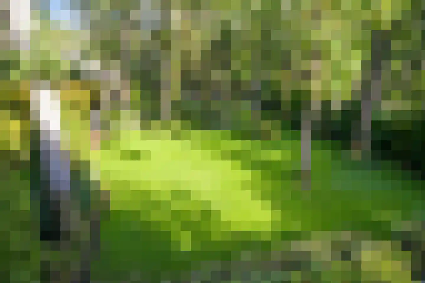 Lijsterlaan 1 Wassenaar thumbnail 22