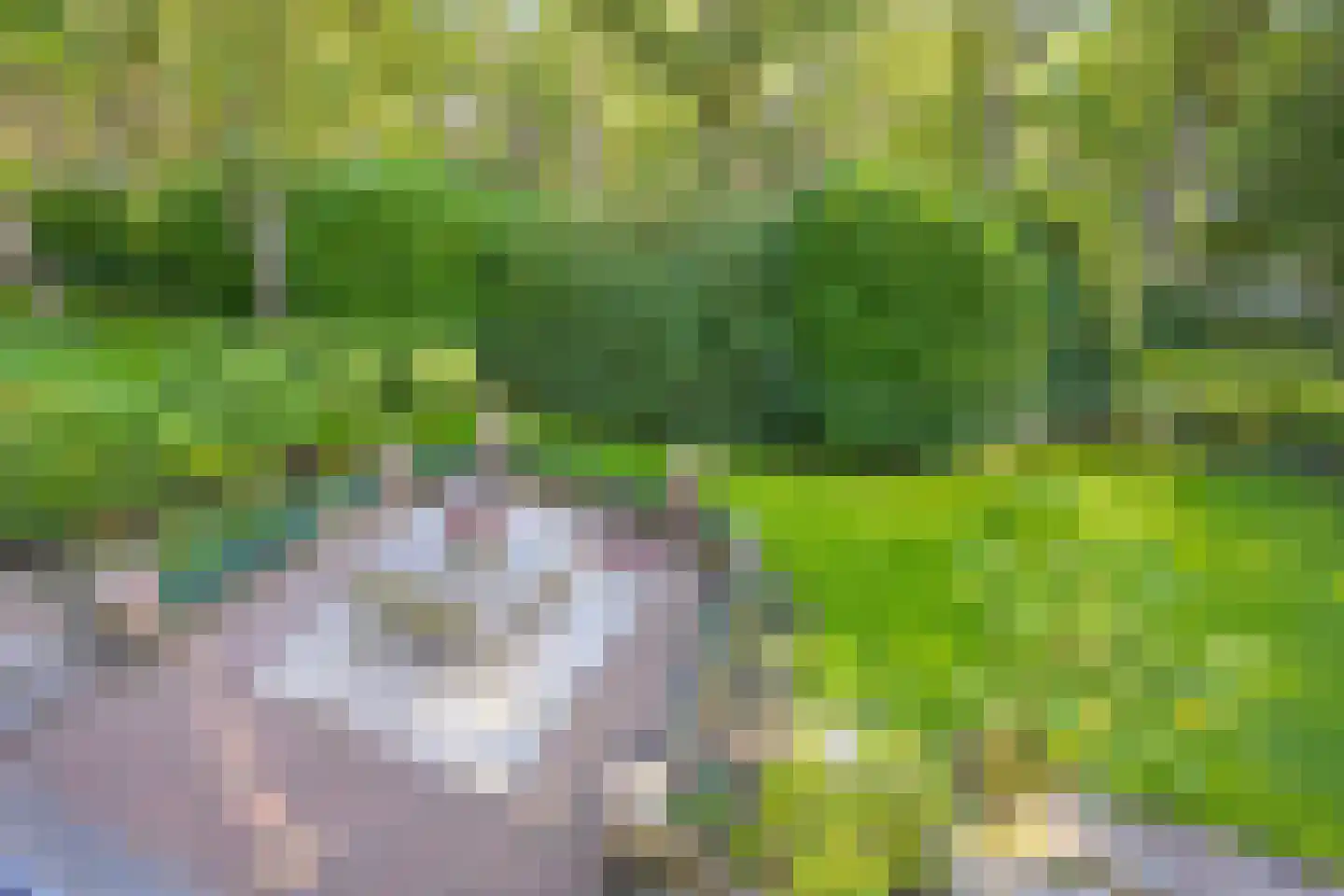 Lijsterlaan 1 Wassenaar thumbnail 25