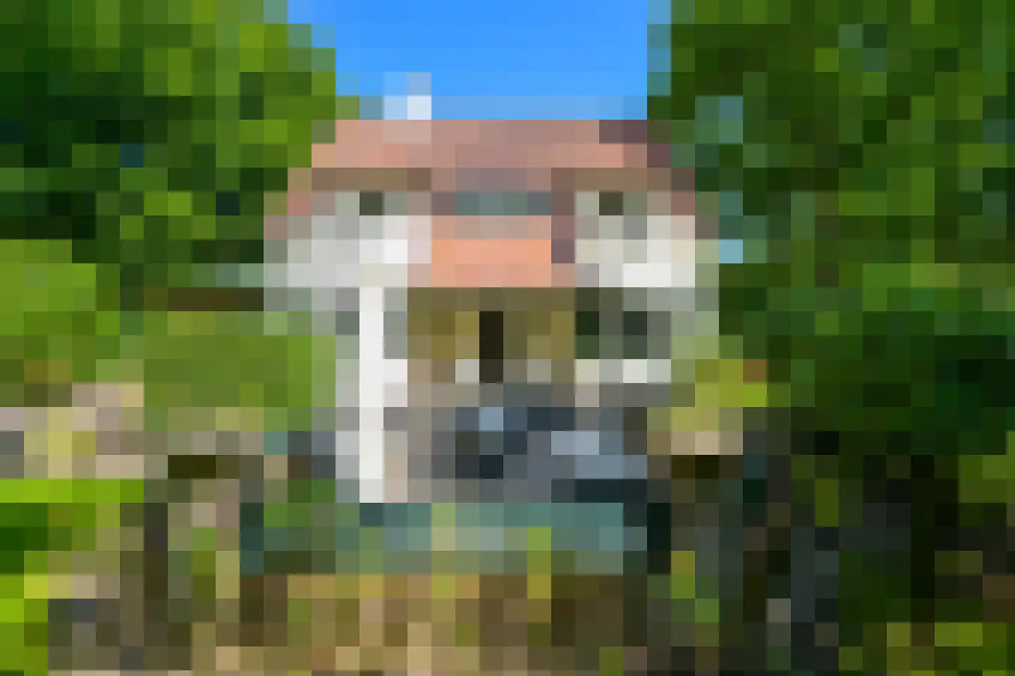 Lijsterlaan 1 Wassenaar thumbnail 30