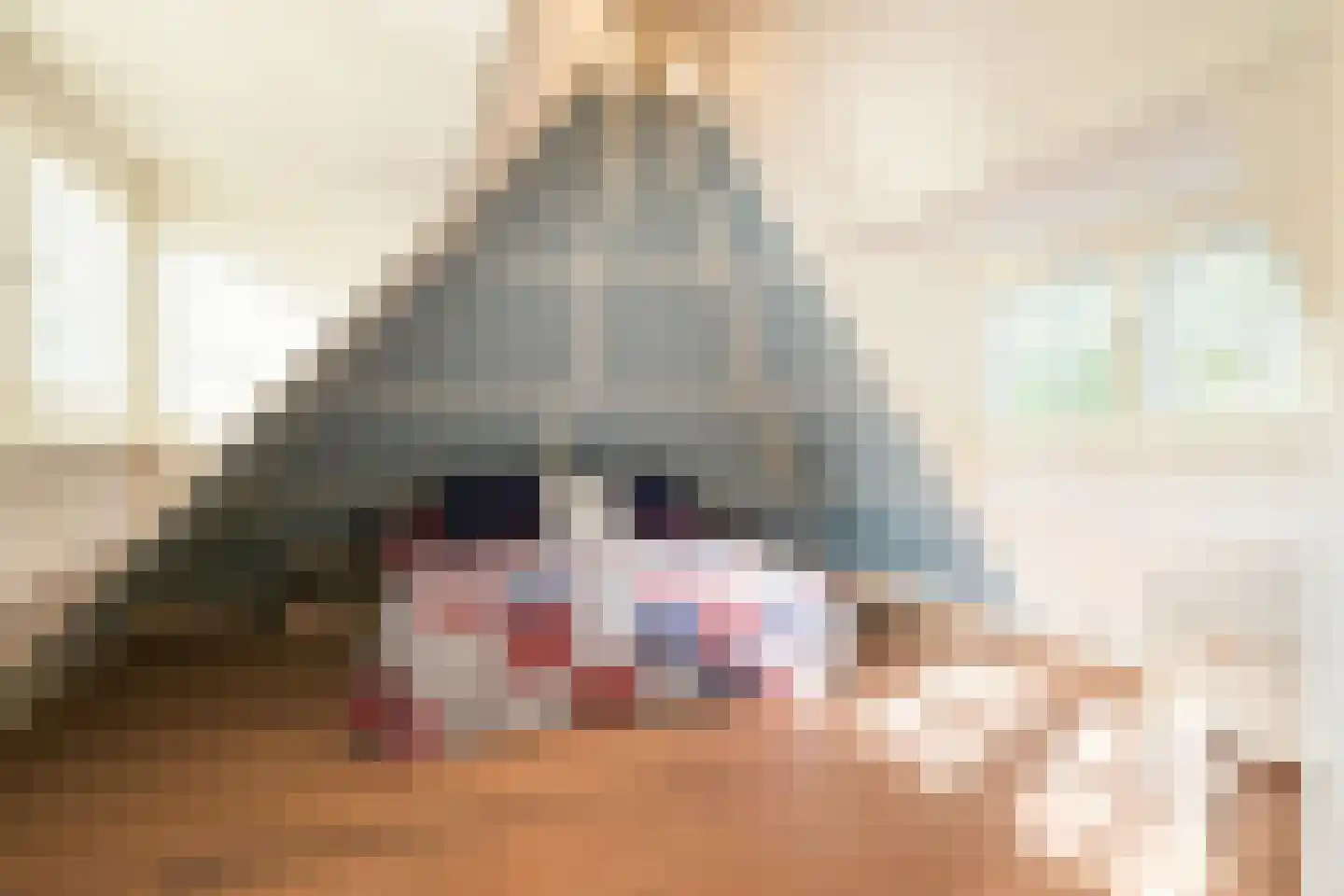 Lijsterlaan 1 Wassenaar thumbnail 30