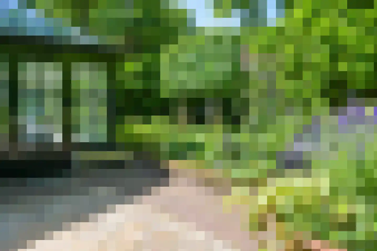Lijsterlaan 1 Wassenaar thumbnail 33