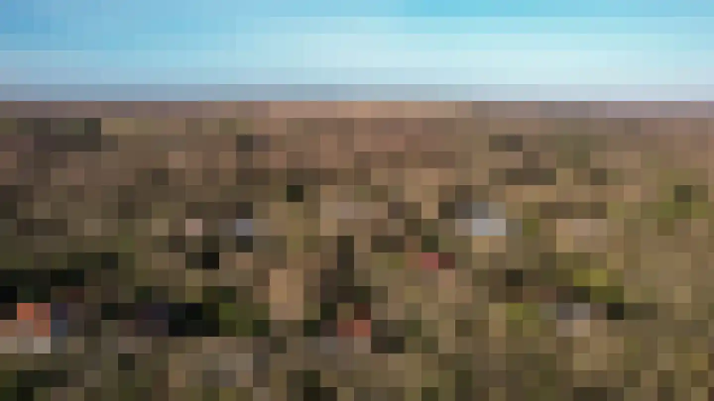 Lijsterlaan 1 Wassenaar thumbnail 34