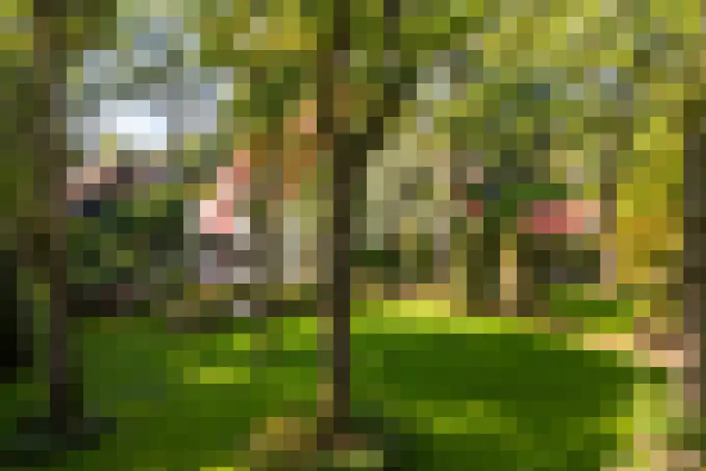 Lijsterlaan 1 Wassenaar thumbnail 34