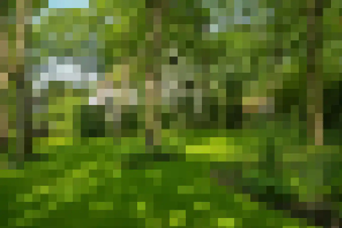 Lijsterlaan 1 Wassenaar thumbnail 35