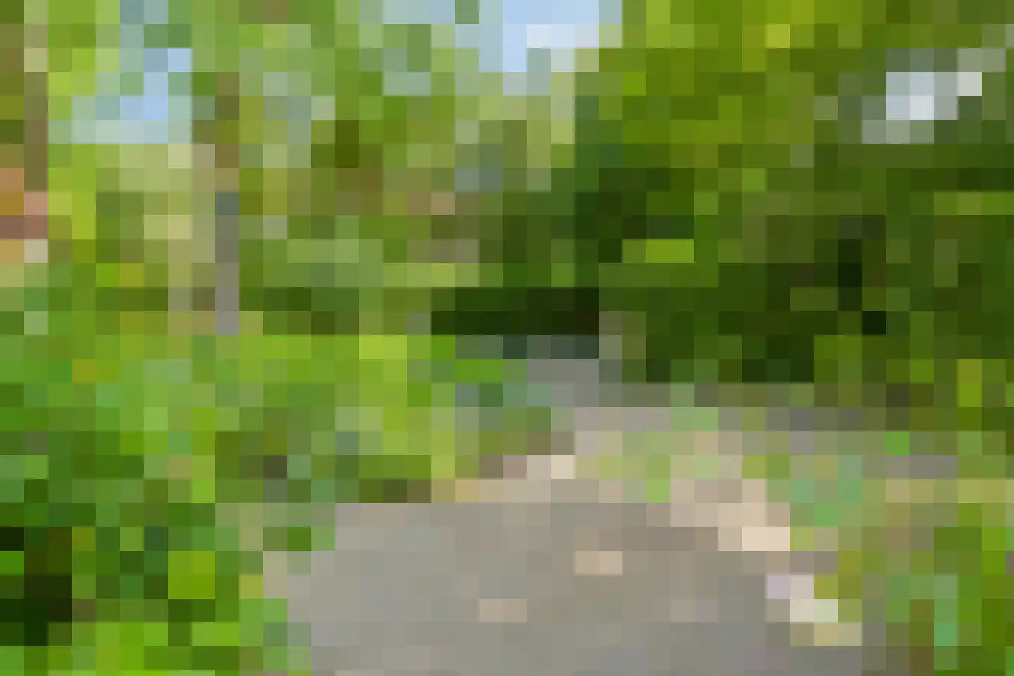 Lijsterlaan 1 Wassenaar thumbnail 36