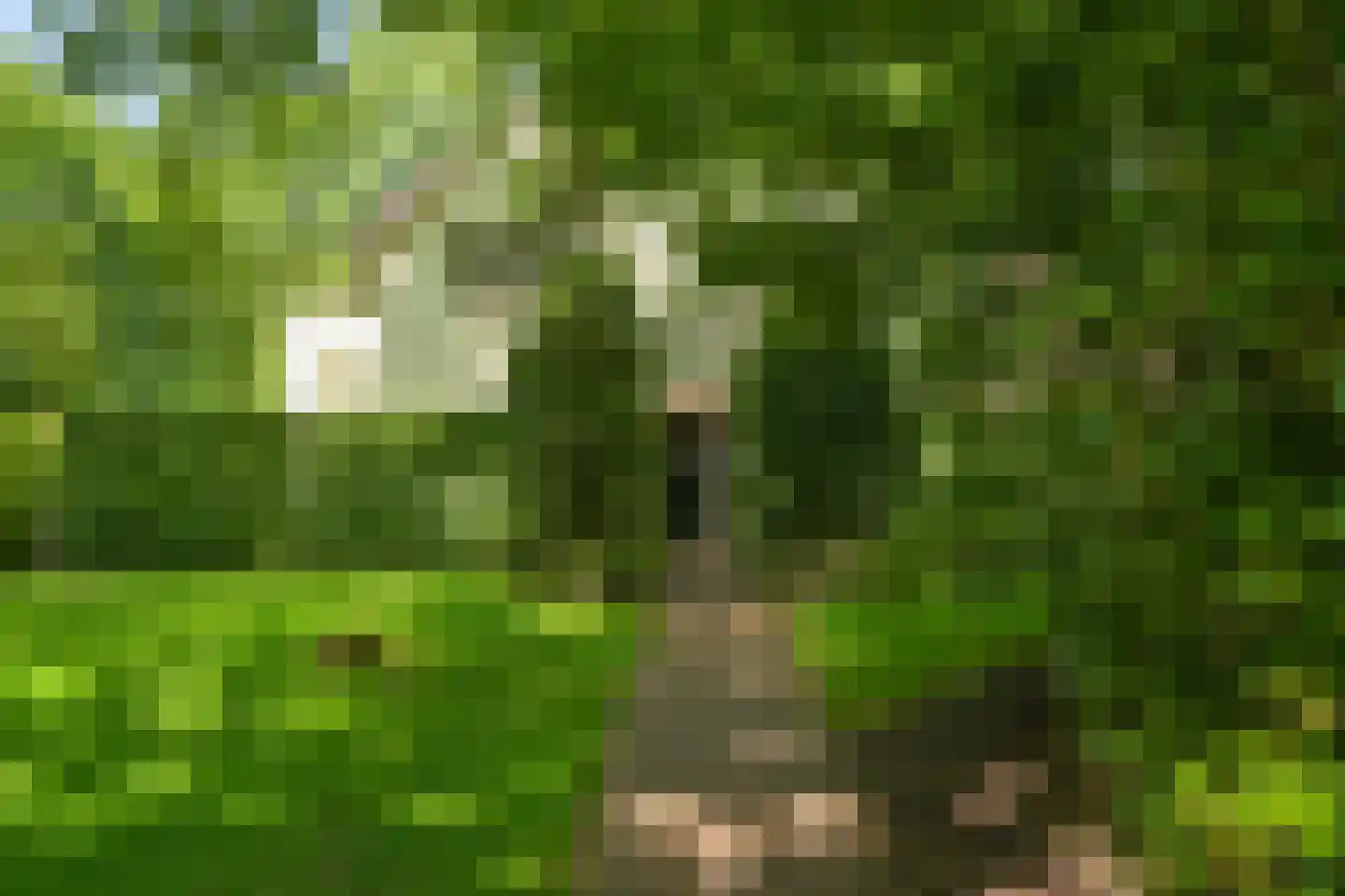 Lijsterlaan 1 Wassenaar thumbnail 37