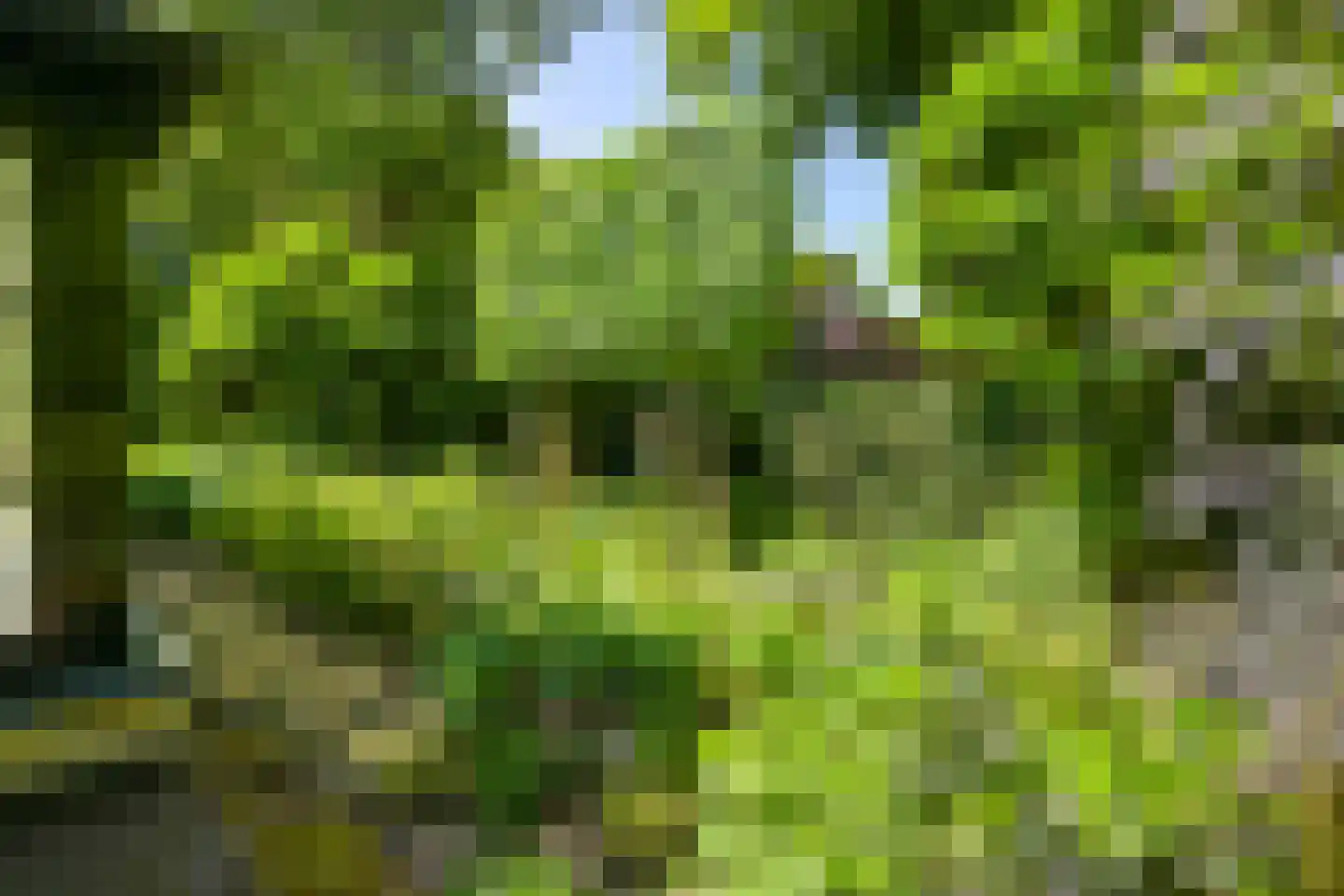 Lijsterlaan 1 Wassenaar thumbnail 38