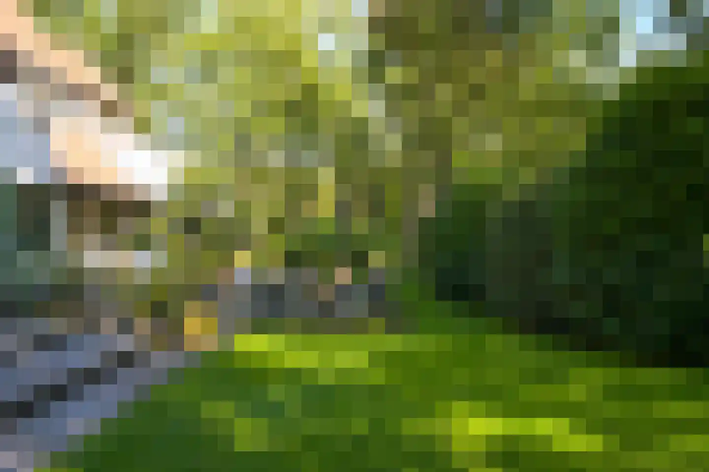 Lijsterlaan 1 Wassenaar thumbnail 38