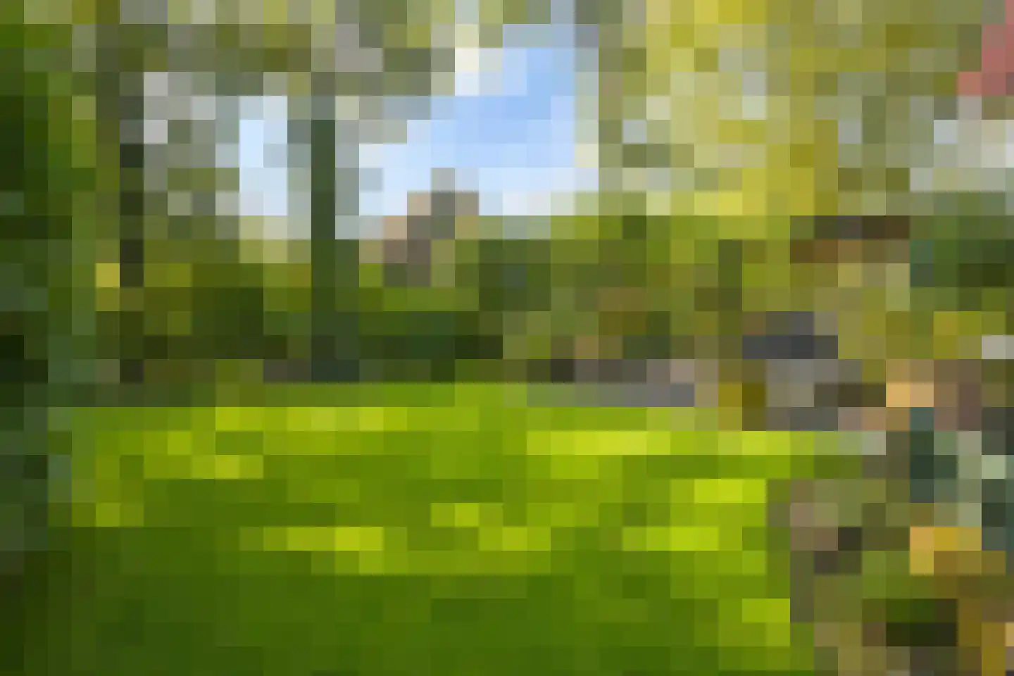 Lijsterlaan 1 Wassenaar thumbnail 39