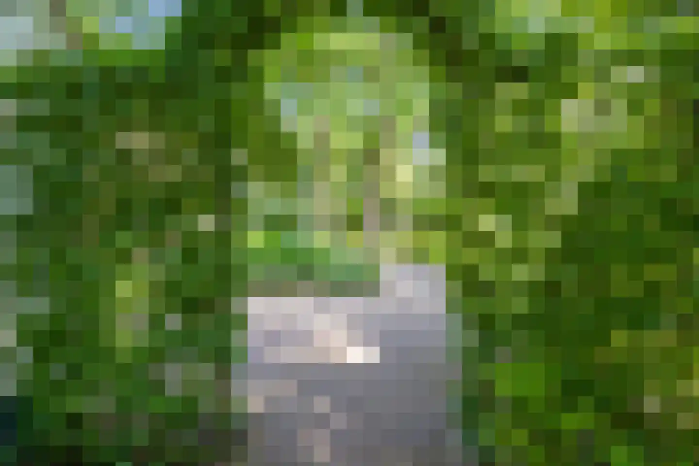 Lijsterlaan 1 Wassenaar thumbnail 39
