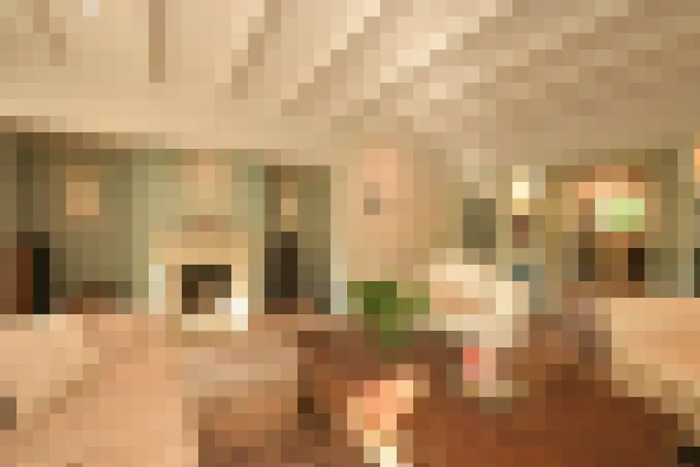 Lijsterlaan 1 Wassenaar thumbnail 4