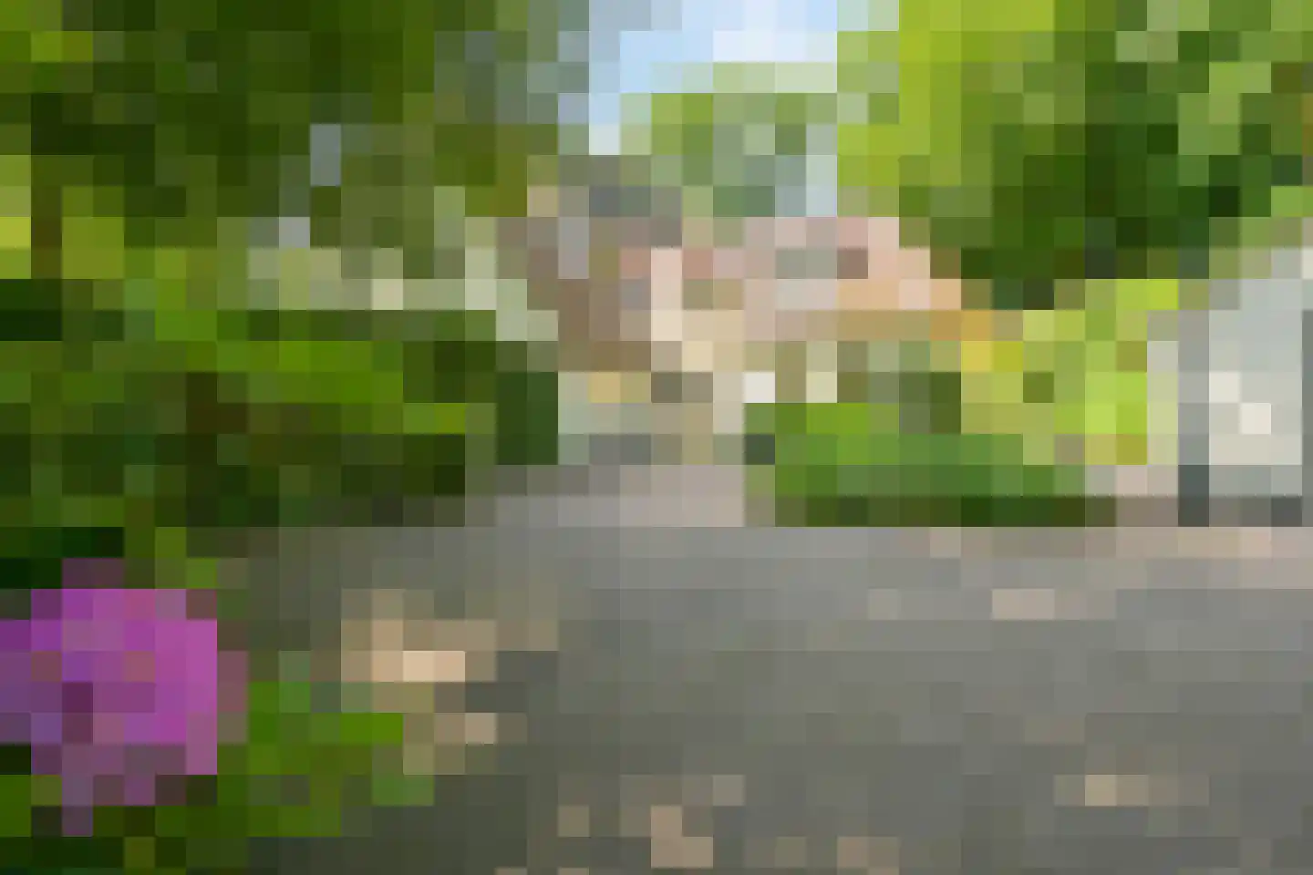 Lijsterlaan 1 Wassenaar thumbnail 4