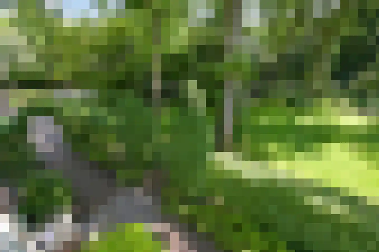 Lijsterlaan 1 Wassenaar thumbnail 40