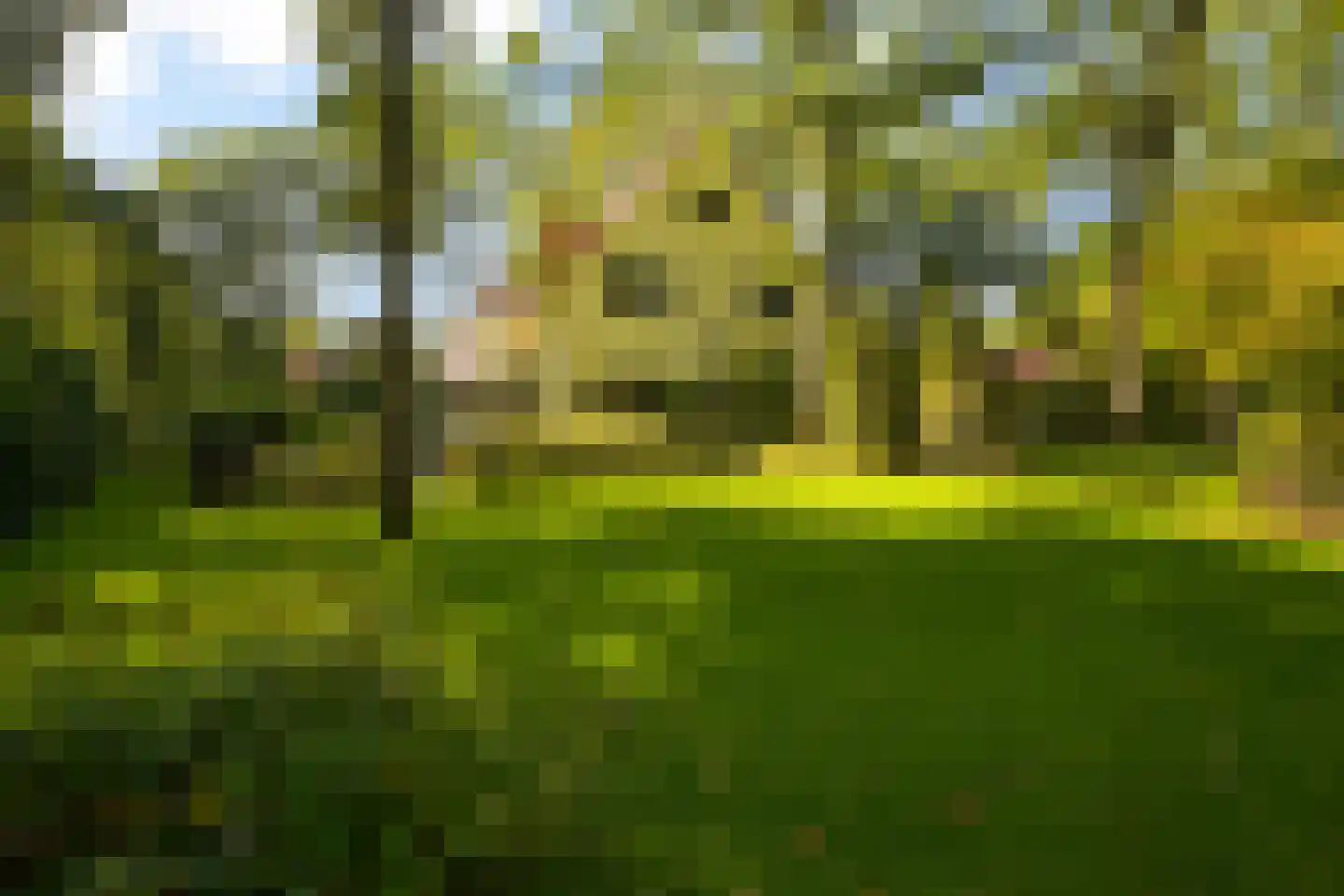 Lijsterlaan 1 Wassenaar thumbnail 40