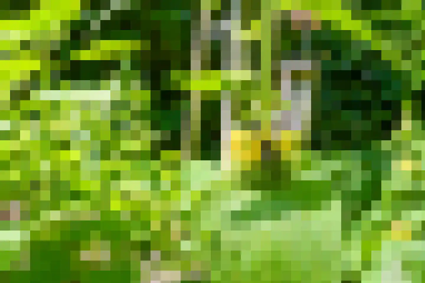 Lijsterlaan 1 Wassenaar thumbnail 41