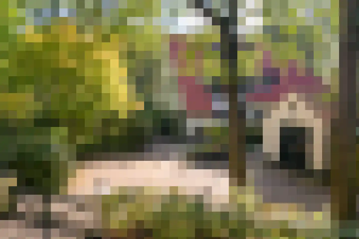 Lijsterlaan 1 Wassenaar thumbnail 41