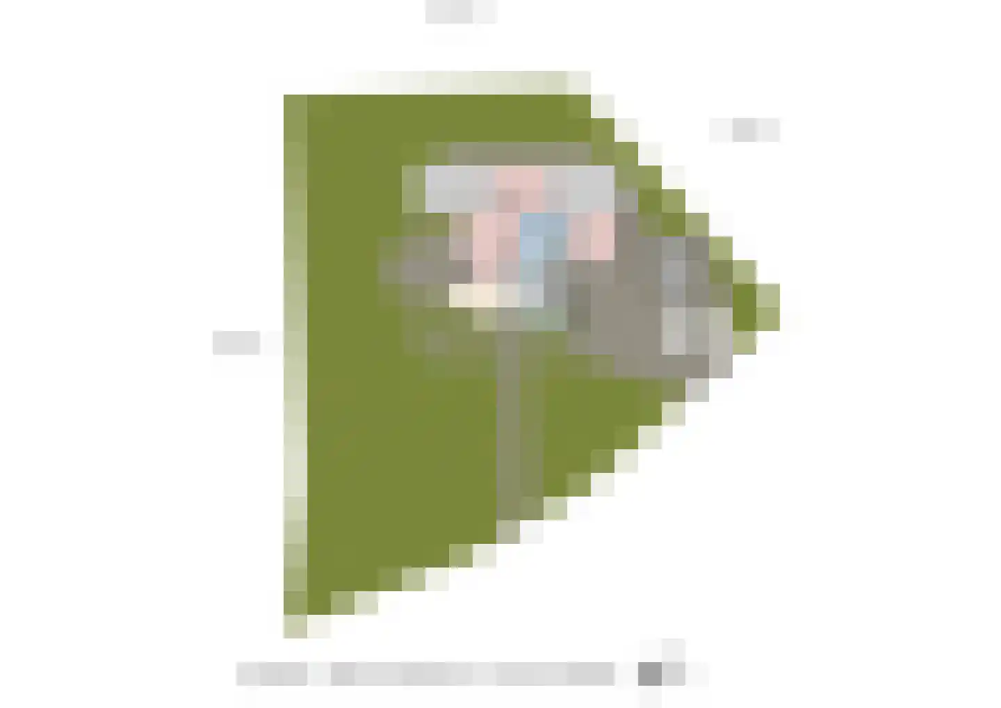 Lijsterlaan 1 Wassenaar thumbnail 42