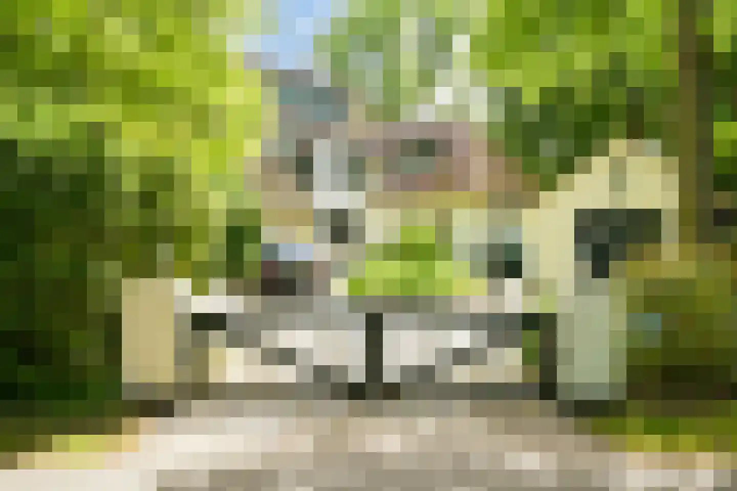 Lijsterlaan 1 Wassenaar thumbnail 42