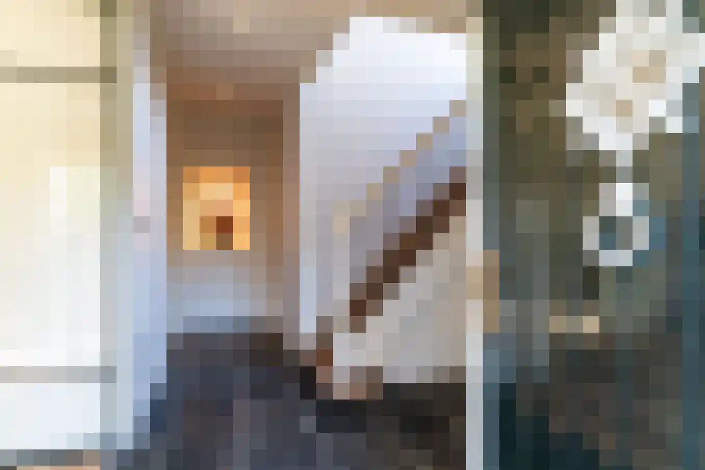 Lijsterlaan 1 Wassenaar thumbnail 6