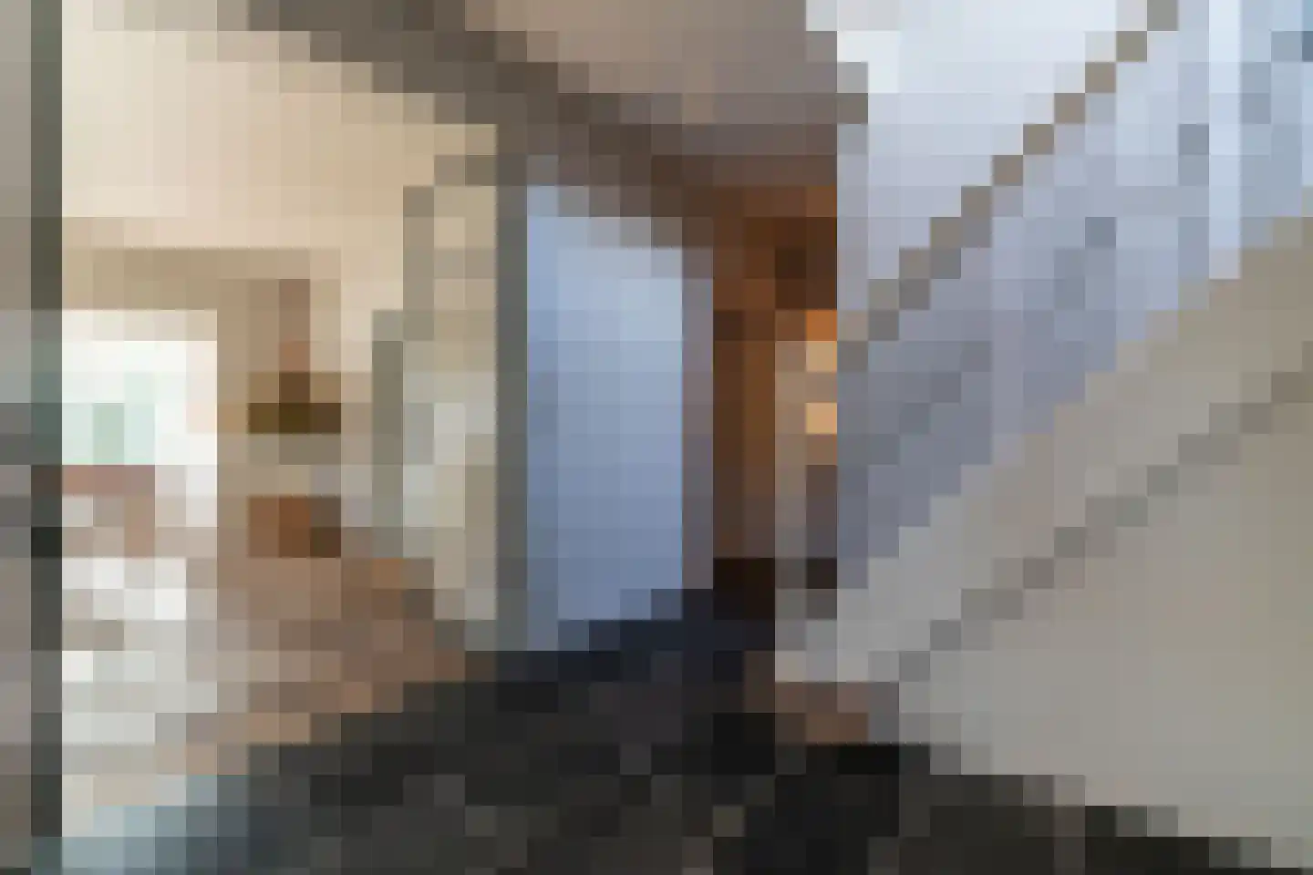 Lijsterlaan 1 Wassenaar thumbnail 7