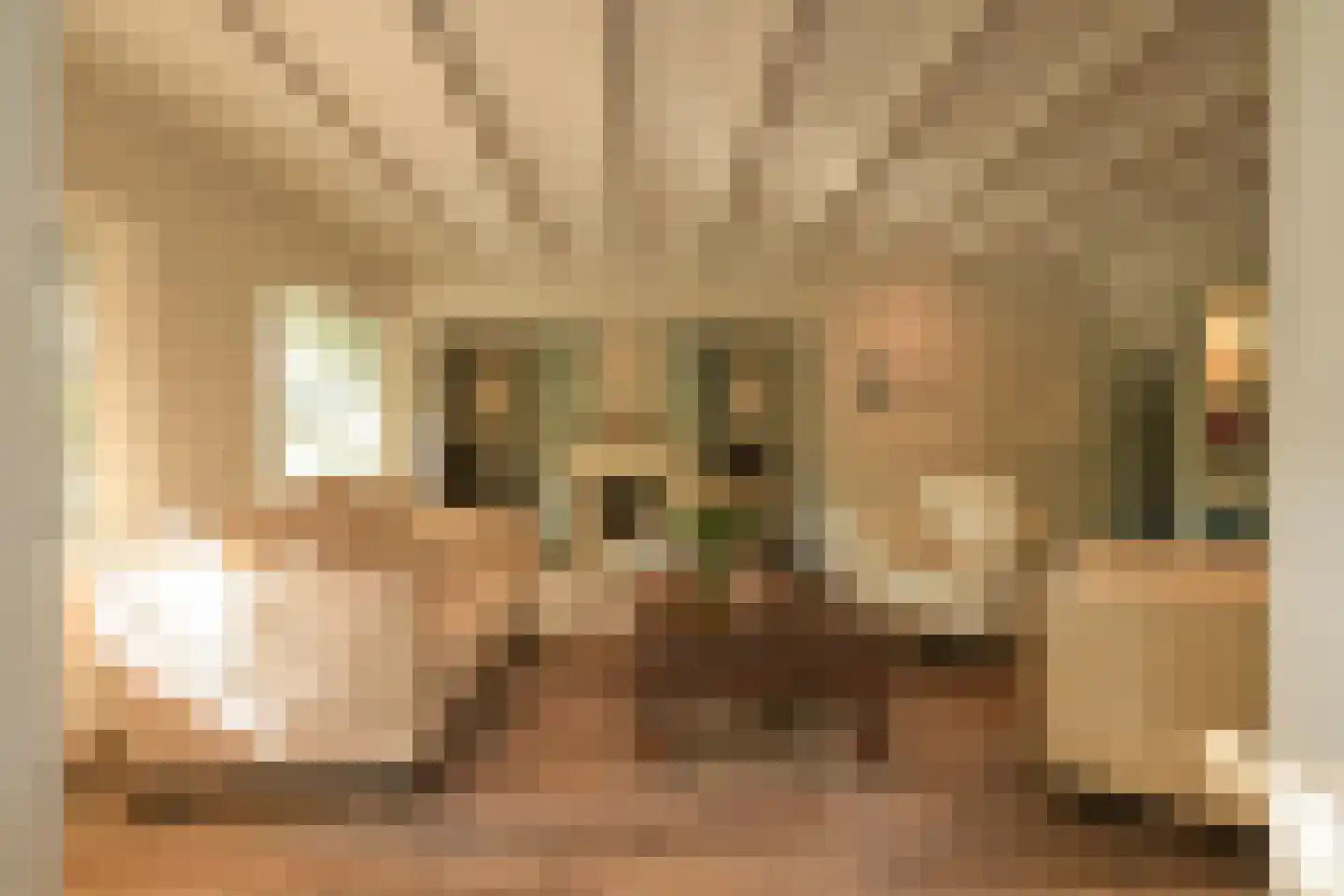 Lijsterlaan 1 Wassenaar thumbnail 9