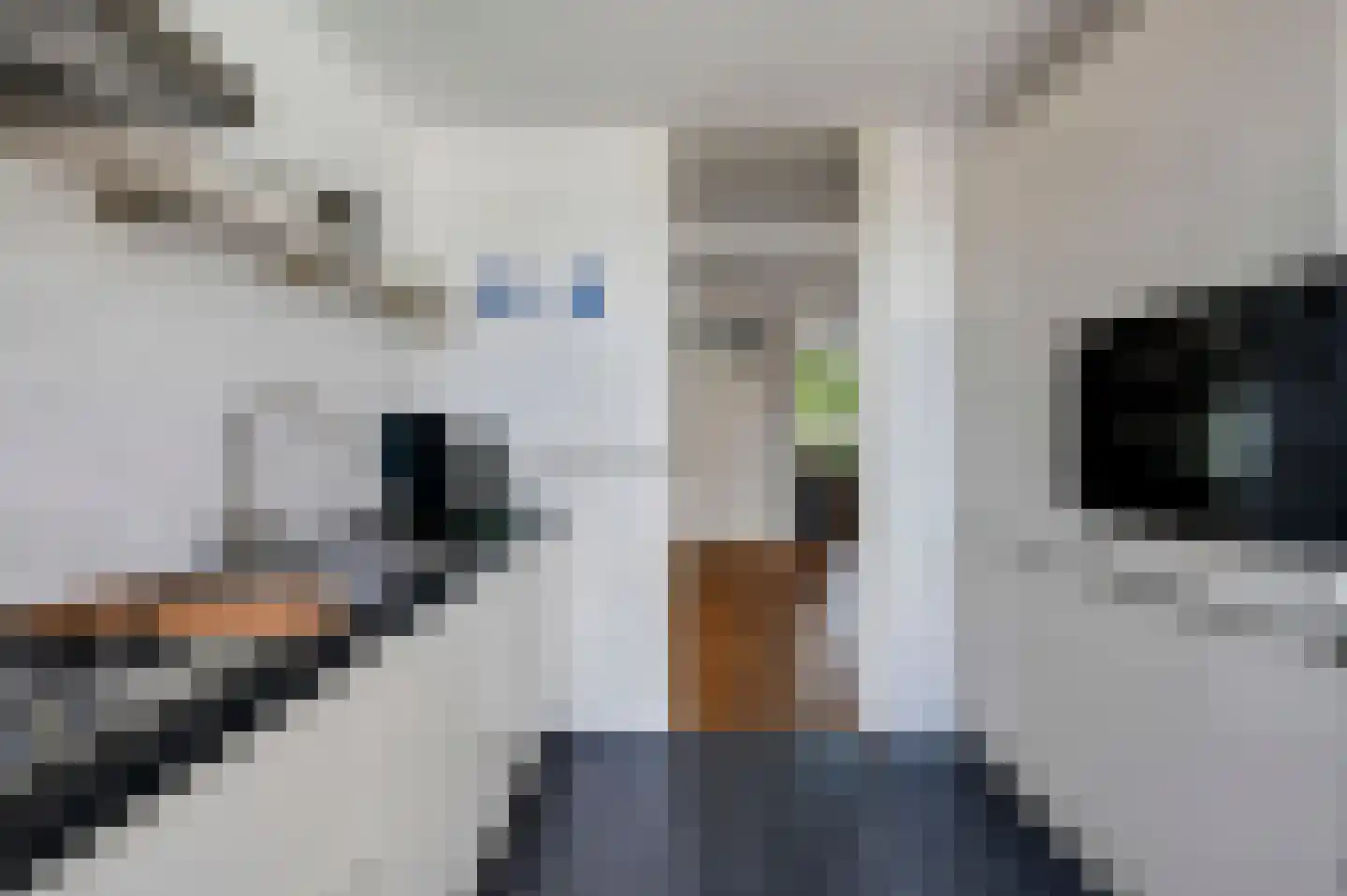 Lijsterlaan 108 Maassluis thumbnail 12