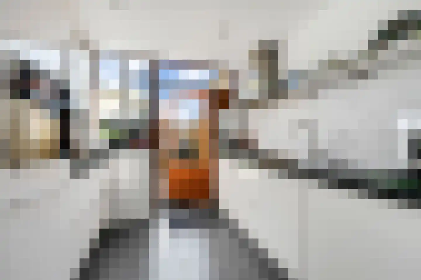 Lijsterlaan 108 Maassluis thumbnail 13