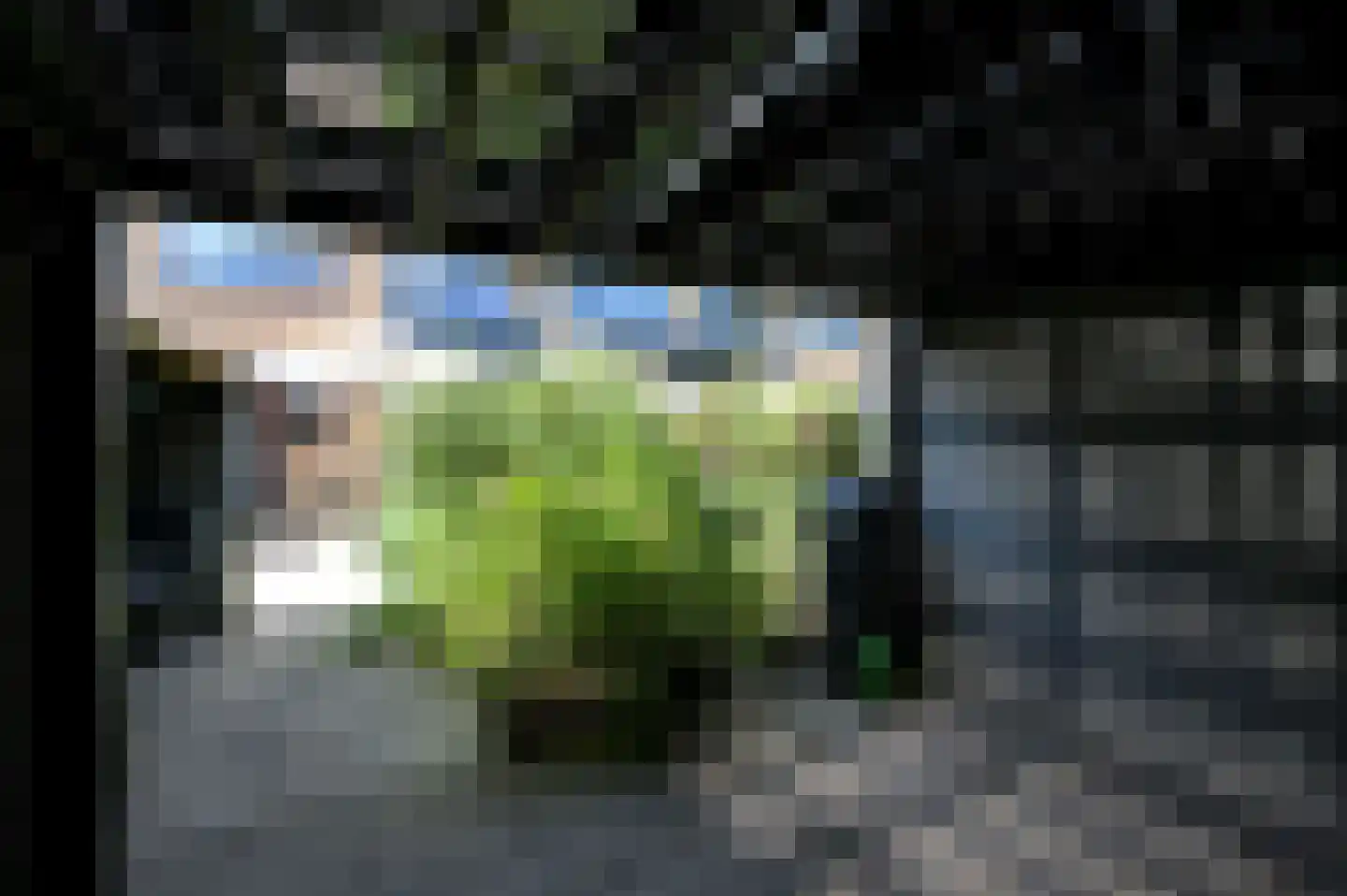 Lijsterlaan 108 Maassluis thumbnail 16
