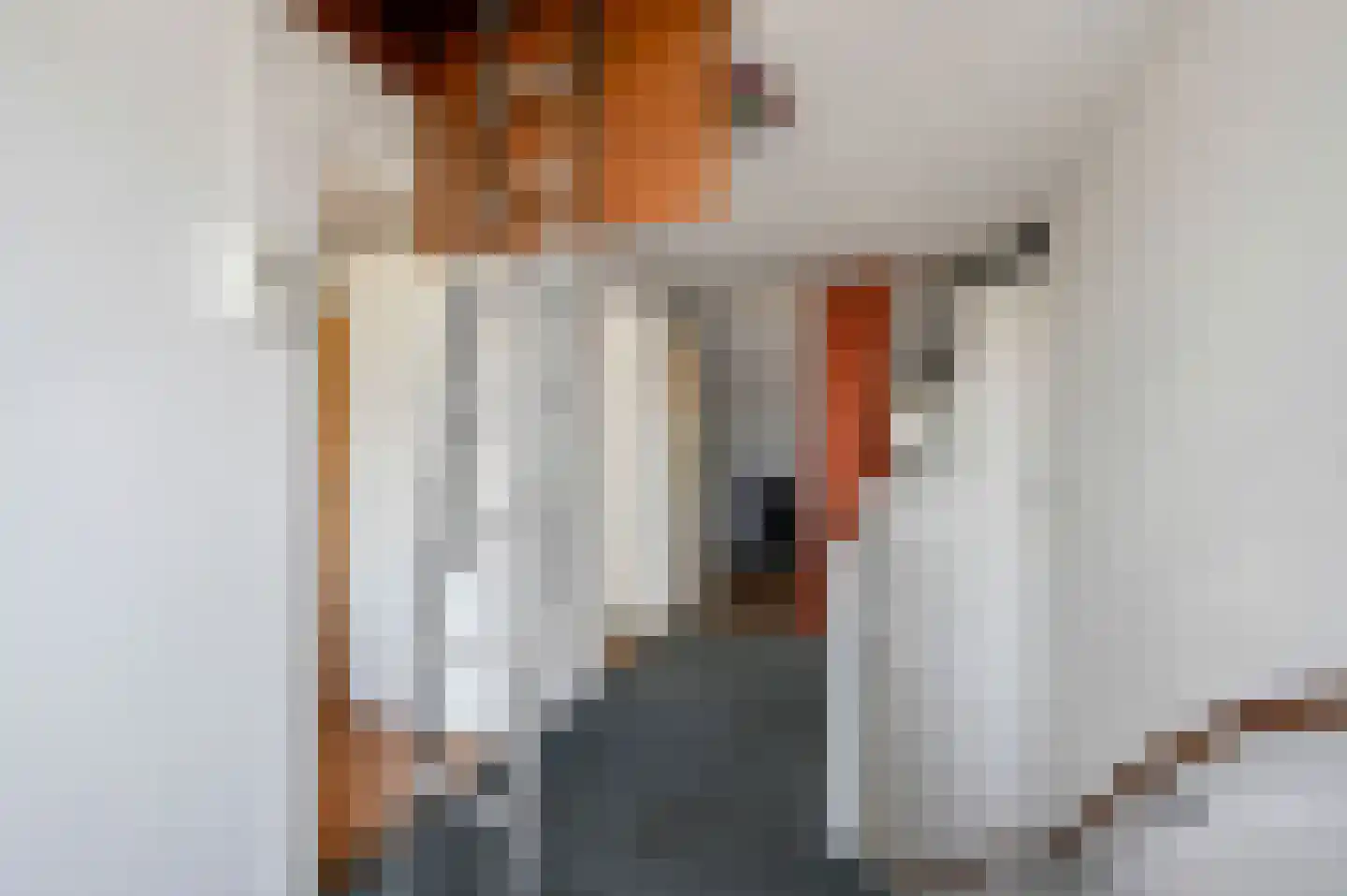 Lijsterlaan 108 Maassluis thumbnail 33