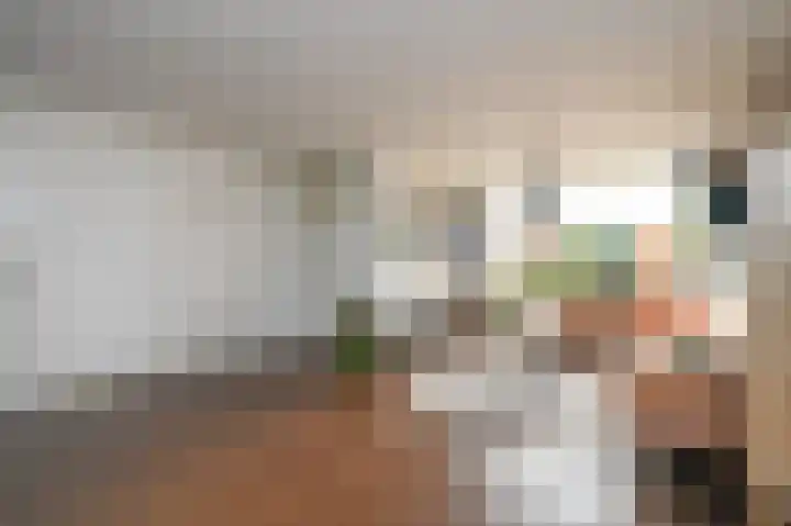 Lijsterlaan 136 Maassluis thumbnail 14