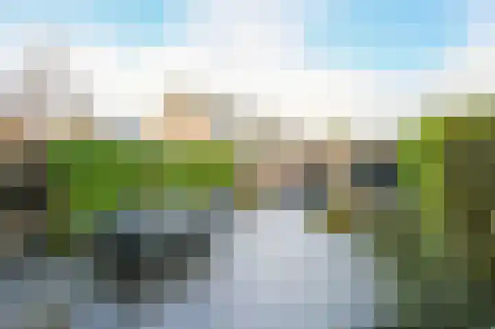 Lijsterlaan 136 Maassluis thumbnail 19