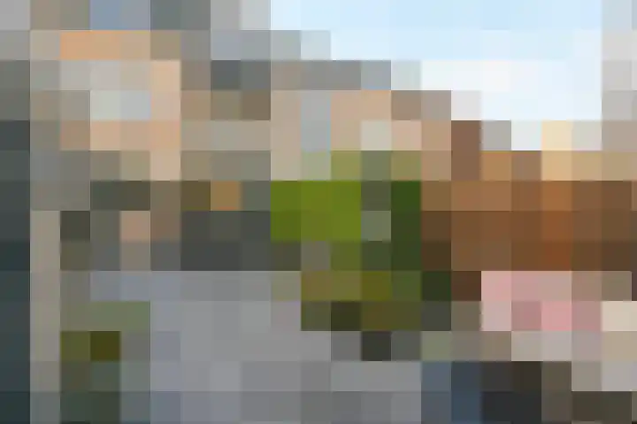 Lijsterlaan 136 Maassluis thumbnail 21