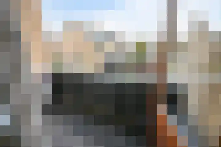 Lijsterlaan 136 Maassluis thumbnail 29