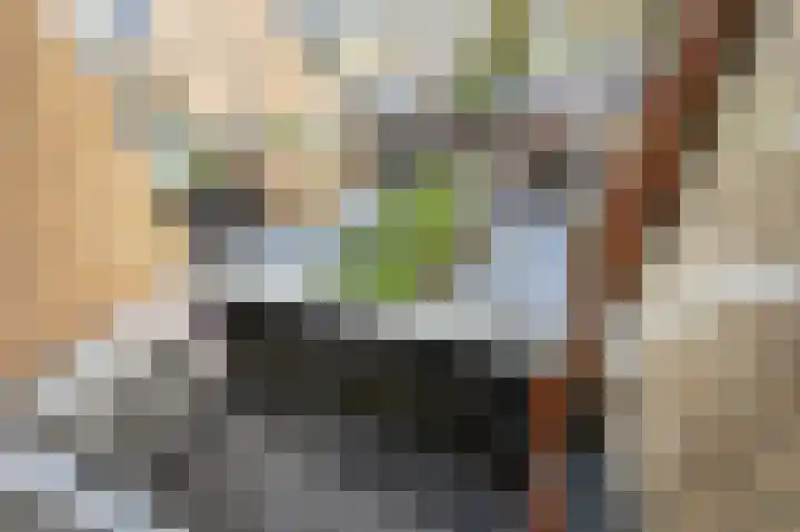 Lijsterlaan 136 Maassluis thumbnail 32