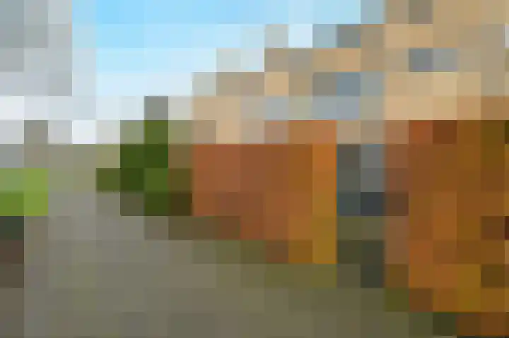 Lijsterlaan 136 Maassluis thumbnail 5