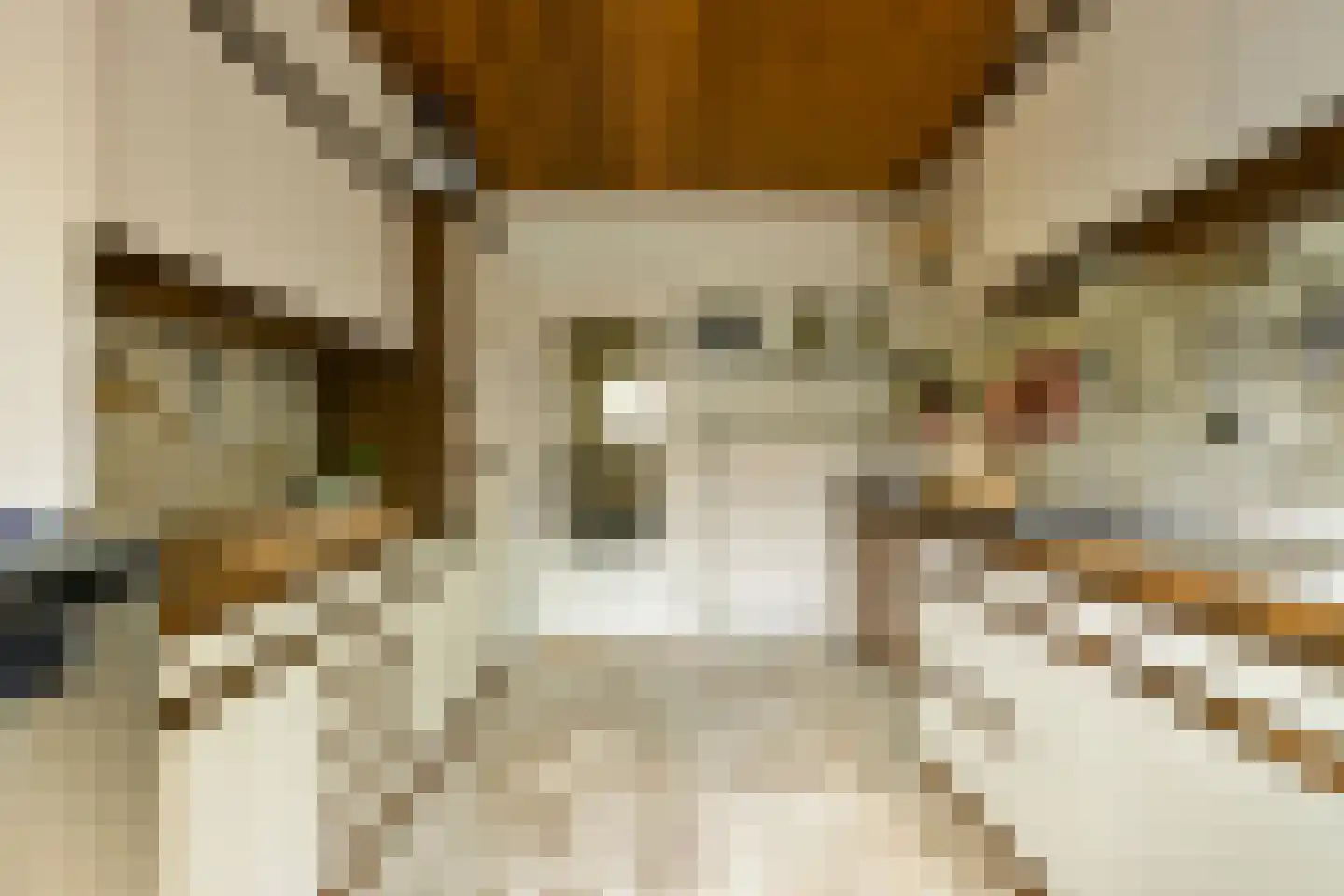 Lijsterlaan 16 Sassenheim thumbnail 11