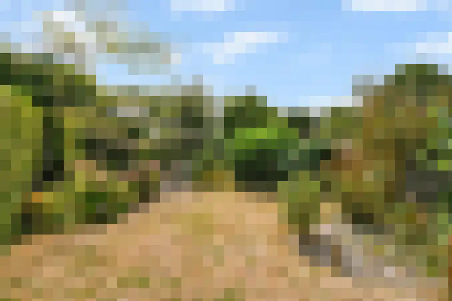 Lijsterlaan 16 Sassenheim thumbnail 13