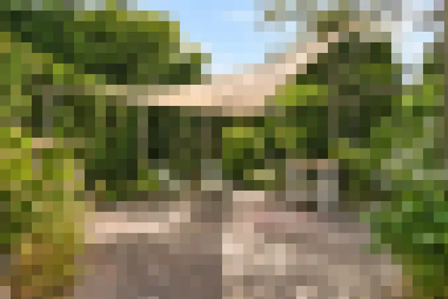 Lijsterlaan 16 Sassenheim thumbnail 14