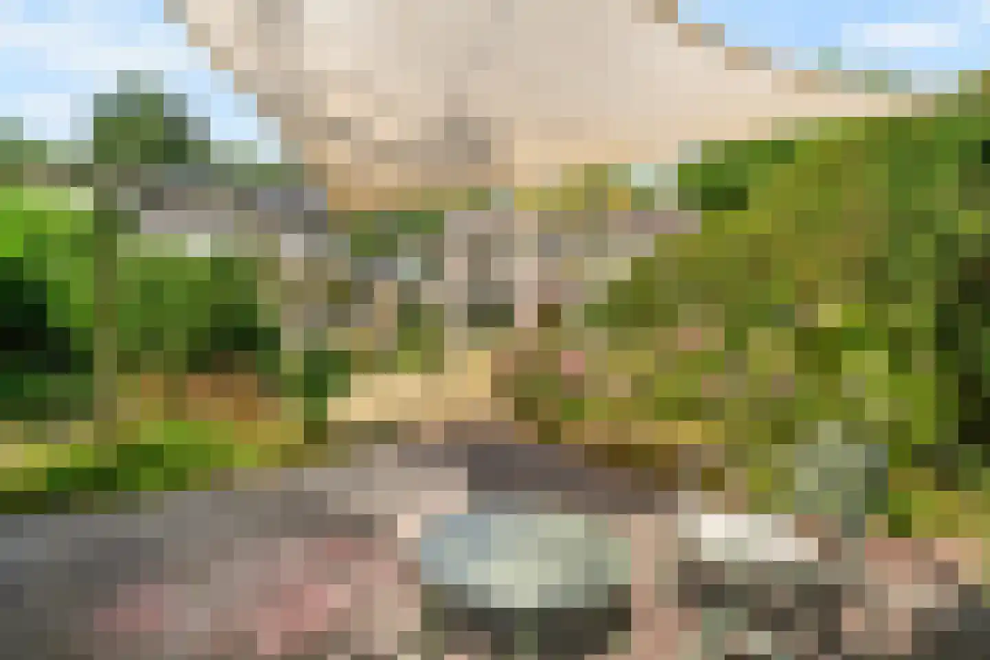 Lijsterlaan 16 Sassenheim thumbnail 15