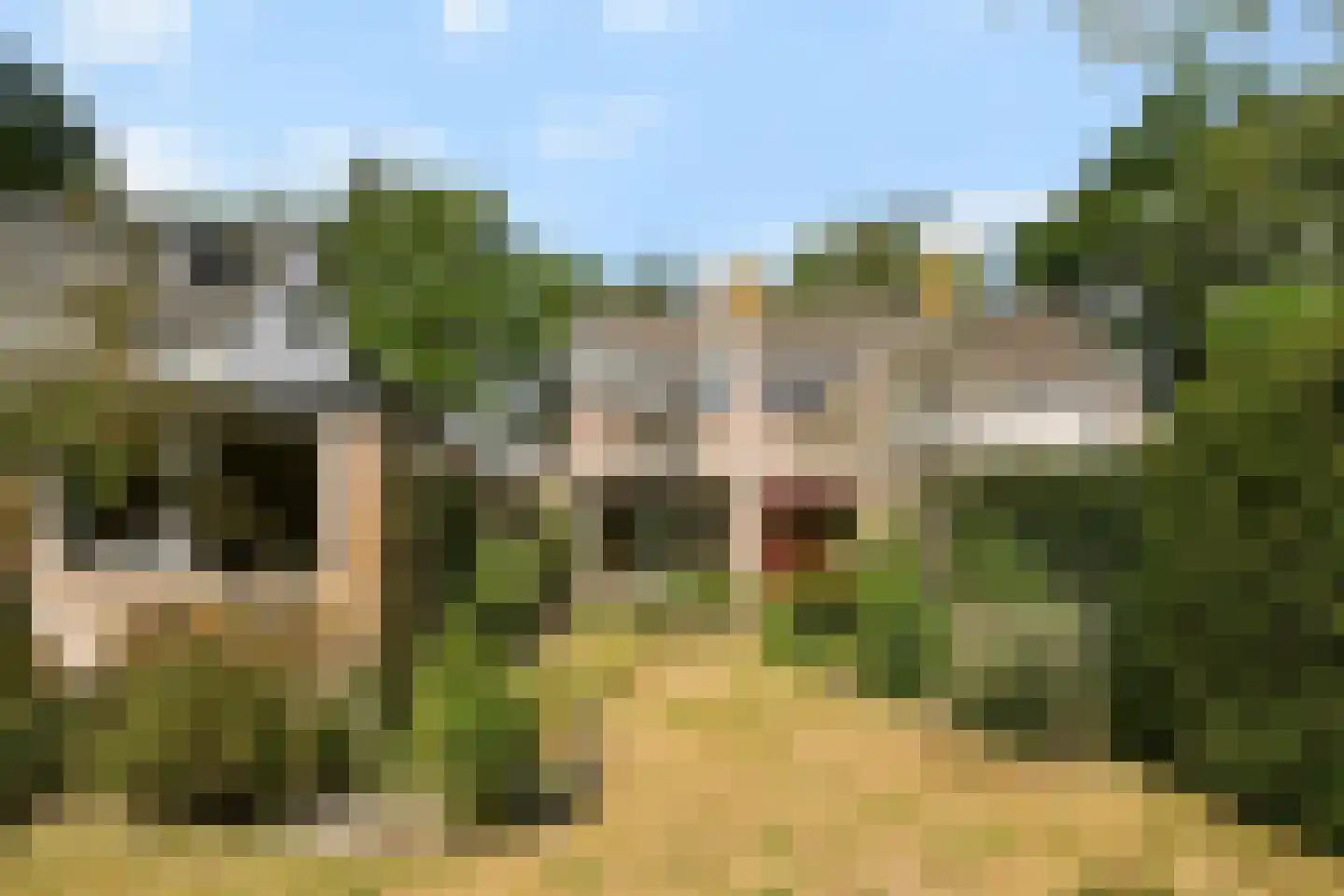 Lijsterlaan 16 Sassenheim thumbnail 16