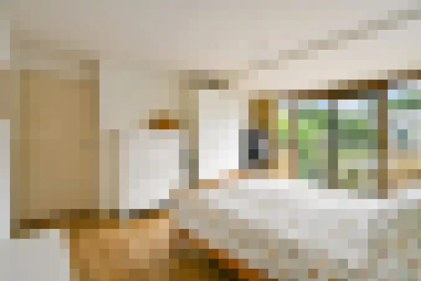 Lijsterlaan 16 Sassenheim thumbnail 19