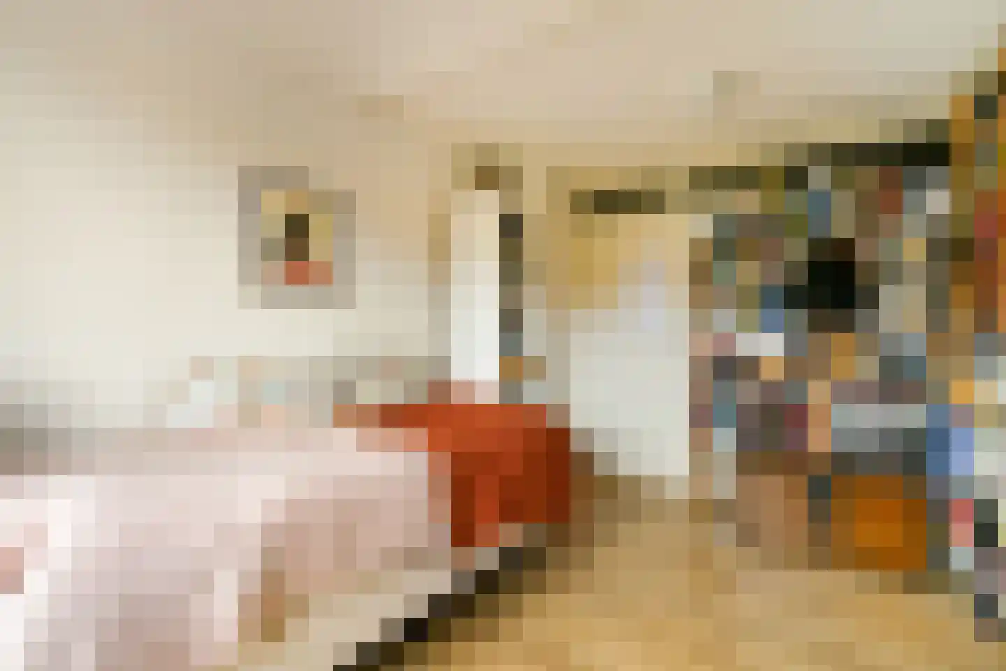 Lijsterlaan 16 Sassenheim thumbnail 22