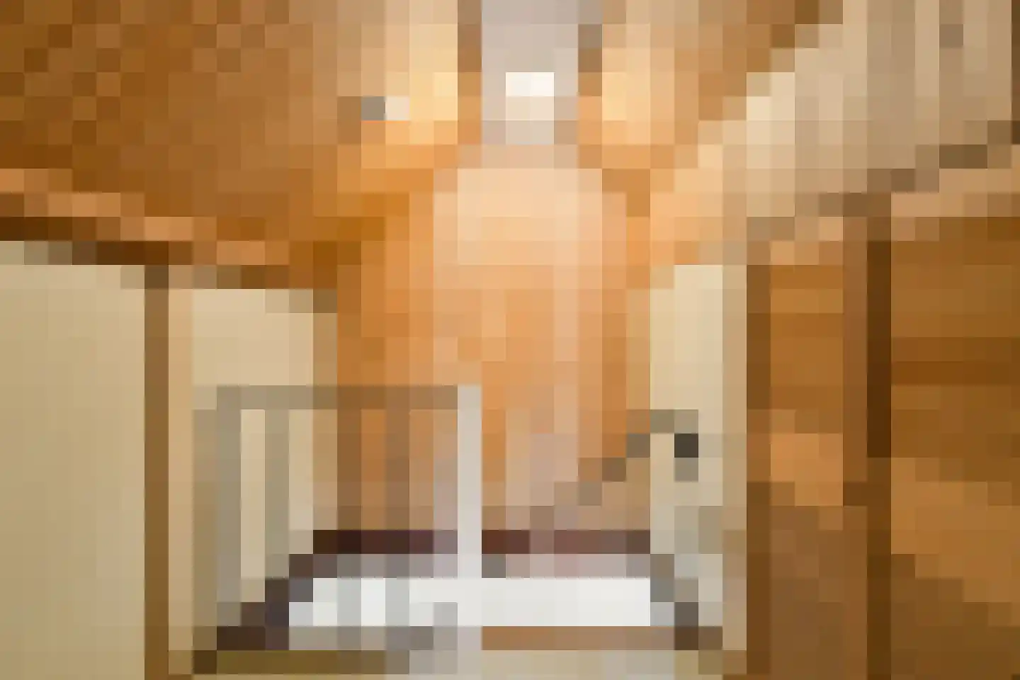 Lijsterlaan 16 Sassenheim thumbnail 26