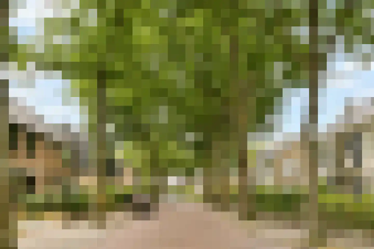 Lijsterlaan 16 Sassenheim thumbnail 29
