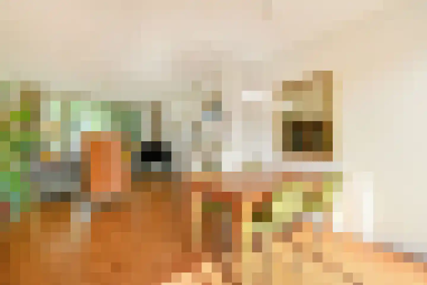 Lijsterlaan 16 Sassenheim thumbnail 7