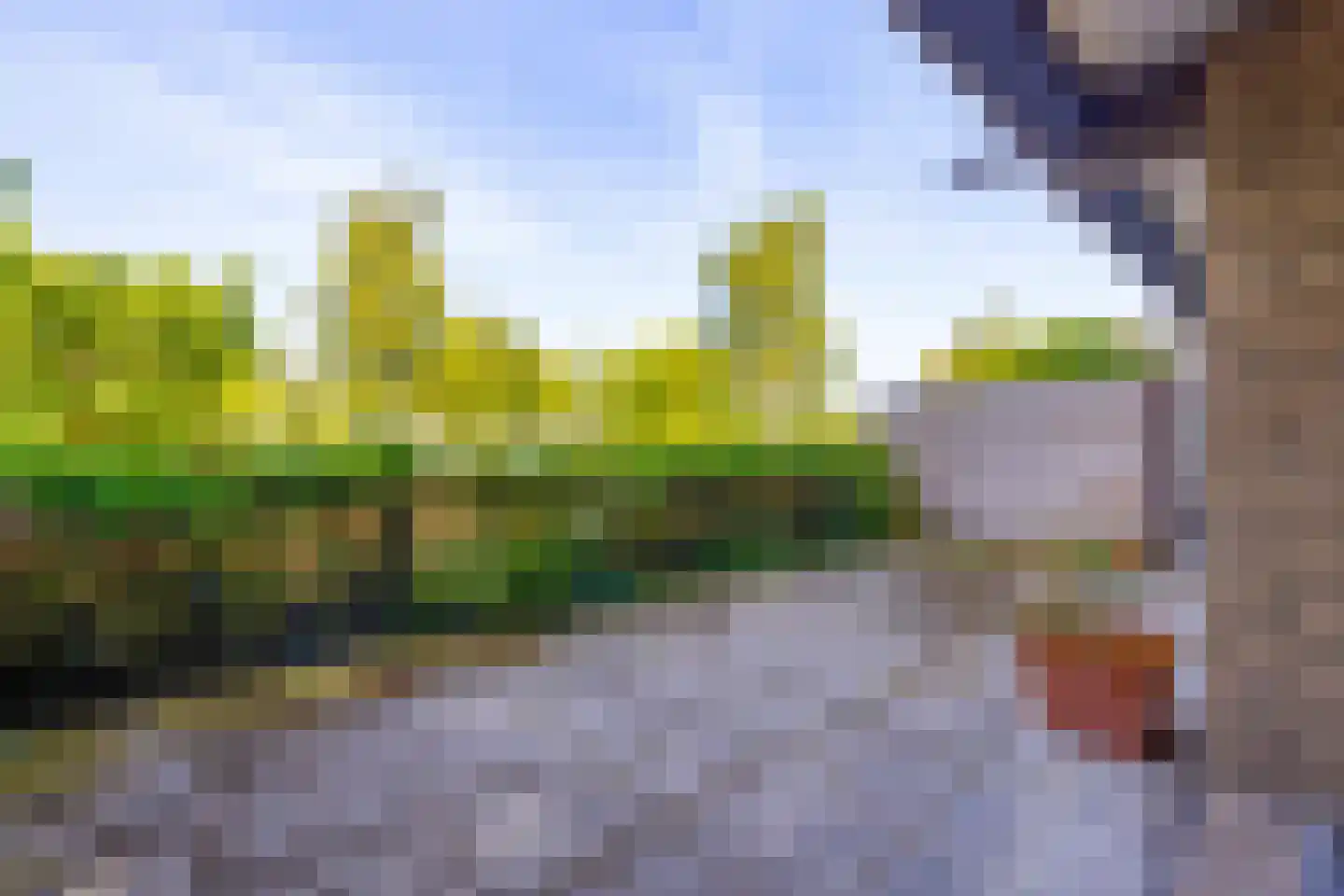Lijsterlaan 169 Bussum thumbnail 13