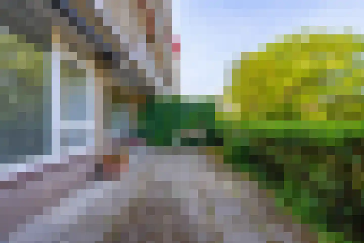 Lijsterlaan 169 Bussum thumbnail 15